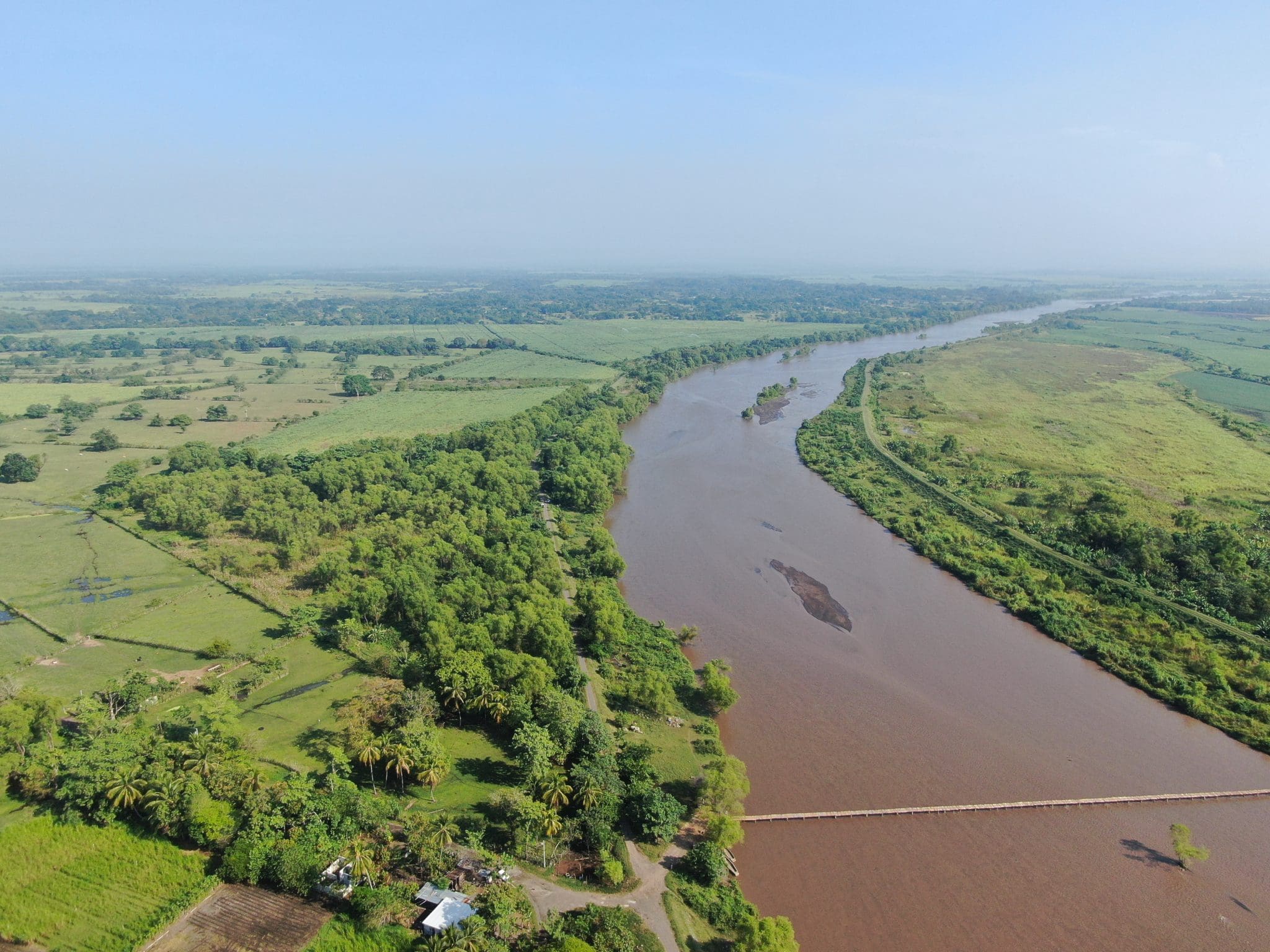 Los ingenios azucareros apoyan la conservación de los bosques de galería