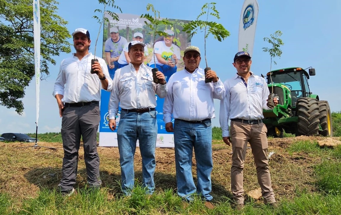 Agroindustria de la Caña de Azúcar reforestará con más de 955 mil árboles en 2023