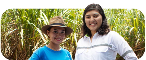 personas en el campo