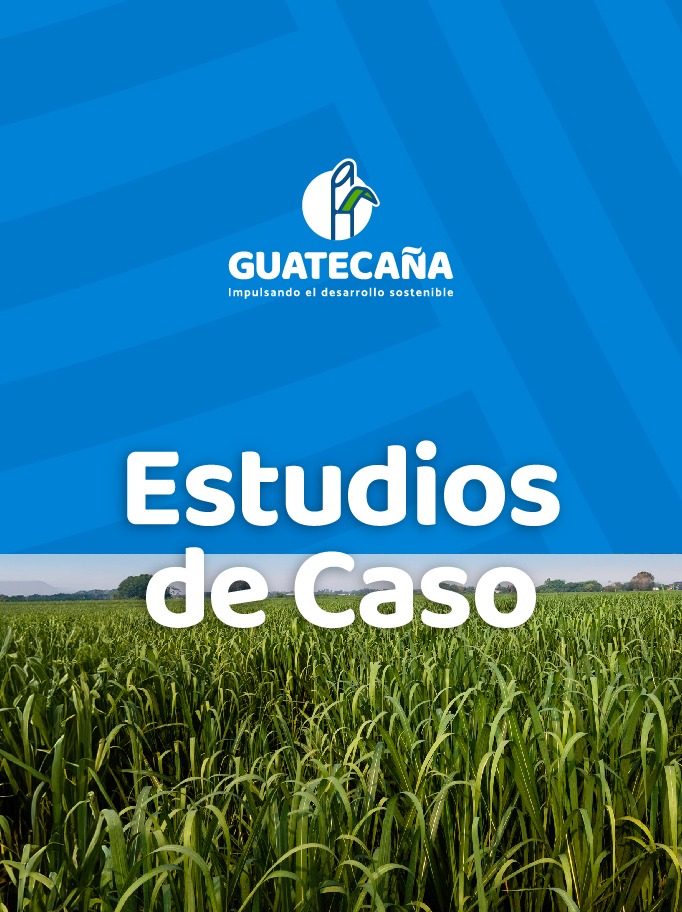 Estudios de Caso ODS